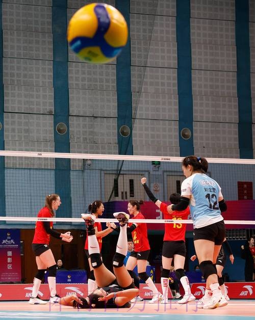 中国女排超级联赛：北京北冰洋VS辽宁东港草莓